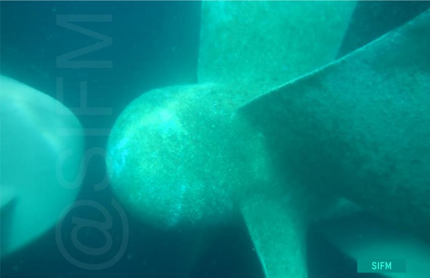 Propeller after net removal 1