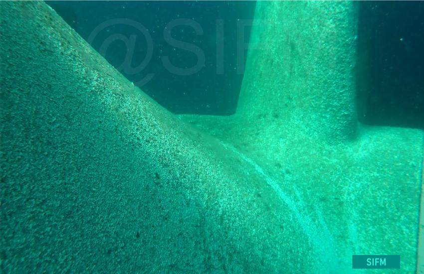 Propeller after net removal 2