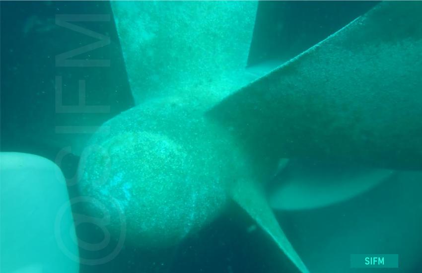 Propeller after net removal