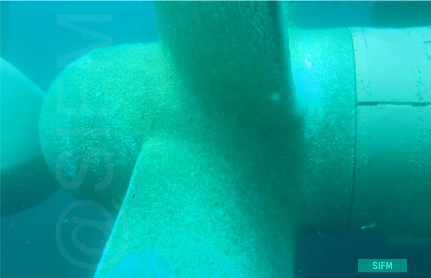 Propeller after net removal 4