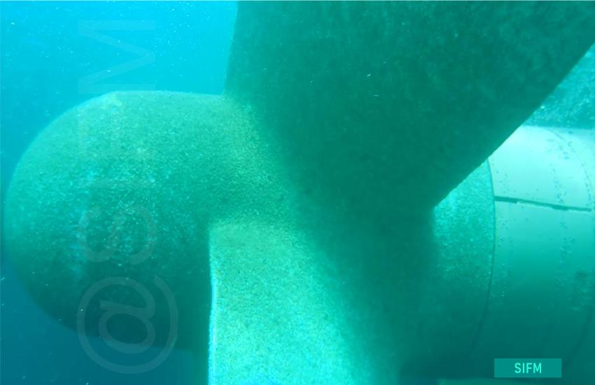 Propeller after net removal 5