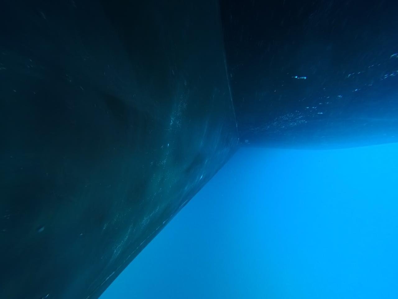 Hull after cleaning 10