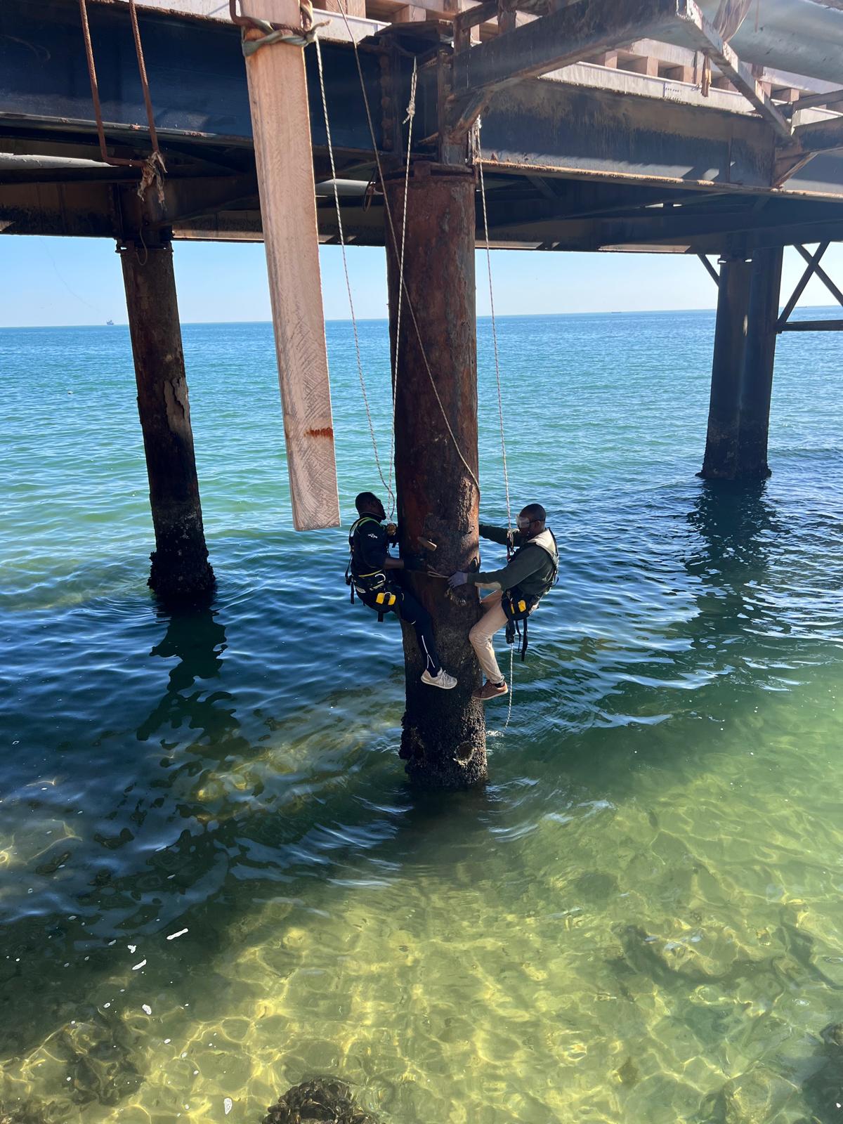 Pile inspection 2